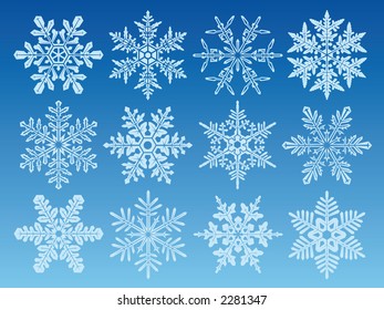 conjunto de iconos de 12 copos de nieve diferentes