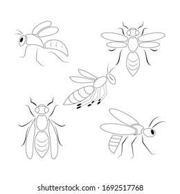 Icon set of 5 wasps. Flat line style. As template for logo, symbol. Vector illustration.