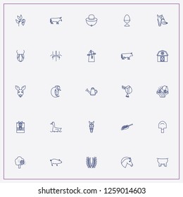 icon set about farm with keywords donkey, shovel and egg