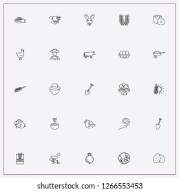 icon set about farm with keywords shovel, beetroot and rabbit