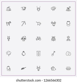 icon set about farm with keywords happy cow, cow boy and cow