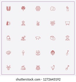 icon set about farm with keywords pumkin, bee hive and potato