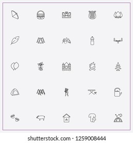 icon set about forest with keywords boar, bicycle steering wheel and mountain descent