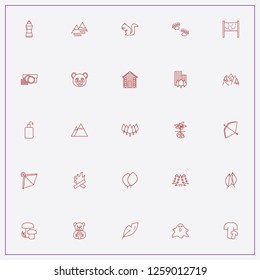 icon set about forest with keywords bonfire, ghost and panda