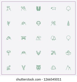 icon set about forest with keywords palm, tree and boar