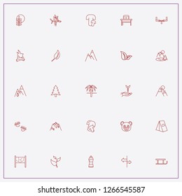 icon set about forest with keywords tree branch, plant root and mountains