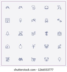 icon set about forest with keywords leaf, mushroom and panda