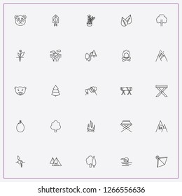 icon set about forest with keywords bear, plants and leaf