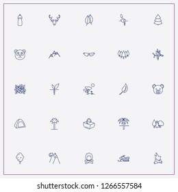 icon set about forest with keywords timbers, trees and deer