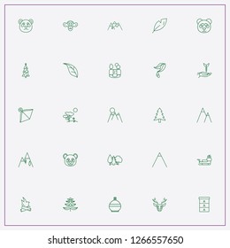 icon set about forest with keywords water flask, bonfire and monkey
