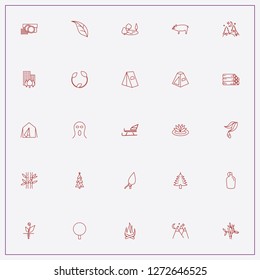 icon set about forest with keywords christmas tree, water flask and boar