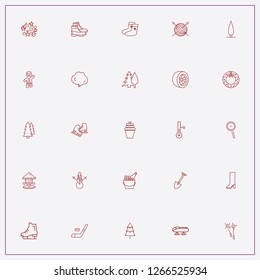 icon set about winter with keywords garlands, ice skates and lady boots
