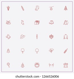 icon set about winter with keywords zoom in, gift and tree
