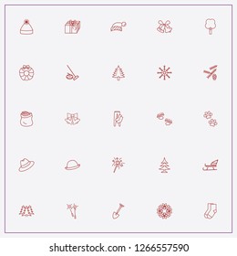 icon set about winter with keywords christmas hat, tree and cones of spruce