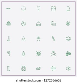icon set about winter with keywords christmas hat, christmas sack and christmas glove