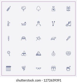 icon set about winter with keywords bengal light, christmas gift bag and snowflakes