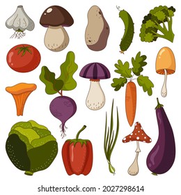 Icon set of autumn raw vegetables and mushrooms in a flat style isolated on a white background. Vector illustration