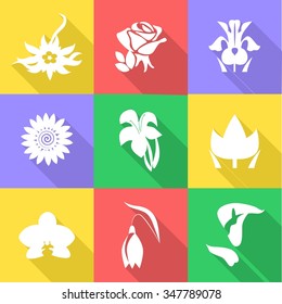 the icon set with beautiful different flowers.