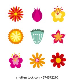 icon set of beautiful flowers over white background. colorful design. vector illustration