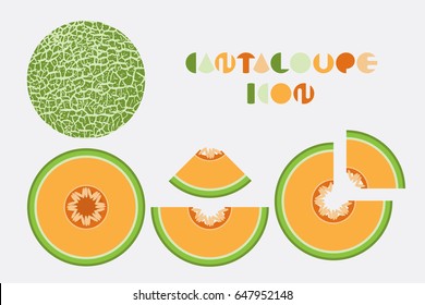 Icon set of cantaloupe and melon graphic design with circular shape.