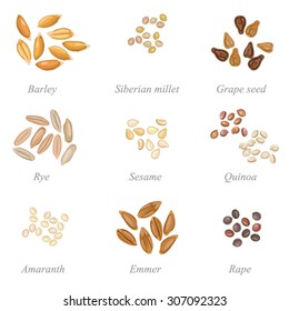 Icon set of cereal grains part 2 / Solid fill set of cereal grains and oil seeds
