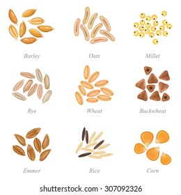 Icon set of cereal grains part 3 / Solid fill set of cereal grains
