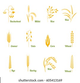 Cereals Icon Set Rice Wheat Corn Stock Vector (Royalty Free) 477224656 ...