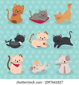 Icon set cute cats tier