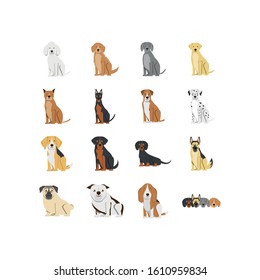 Icon set design, Dogs mascots pets animals nature cute puppy canine and domestric theme Vector illustration