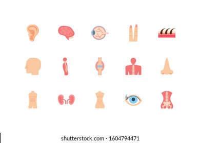icon set design, Human body person people health anatomy biology and science theme Vector illustration