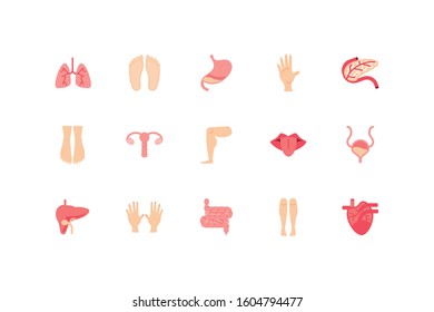 icon set design, Human body person people health anatomy biology and science theme Vector illustration