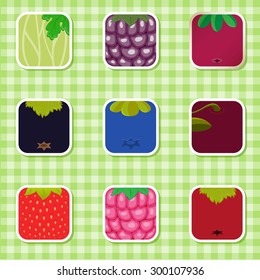 Icon set with a different berries on a plaid background.