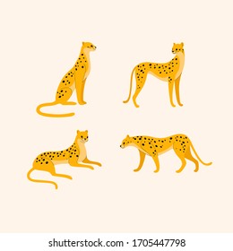 Сheetah icon set. Different type of lion. Vector illustration for prints, clothing, packaging, stickers.