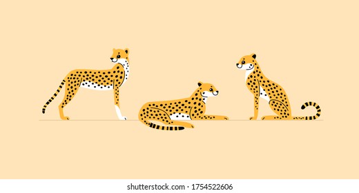 Сheetah icon set. Different type of wild cat. Vector illustration for prints, clothing, packaging, stickers.