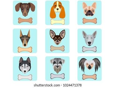 Icon set of dog character with bone. Dog head set