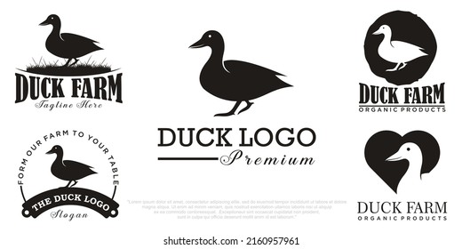 conjunto de iconos Diseño de logotipo de Duck