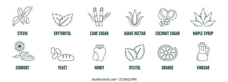 Icon set elements, badges, and alternative sweeteners. Natural substitutes: stevia, honey, xylitol, coconut cane sugar, sunroot, erythritol, agave nectar, maple syrup, yeast, orange, vinegar 