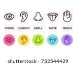 Icon set of five human senses: vision (eye), smell (nose), hearing (ear), touch (hand), taste (mouth with tongue). Simple line icons and color circles, vector illustration.