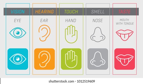 Symbolsatz von fünf menschlichen Sinnesorganen (Auge), Geruch (Nase), Hörvermögen (Ohr), Berührung (Hand), Geschmack (Mund mit Zunge). Vektorgrafik