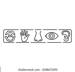Icon set of five human senses vision eye, smell nose, hearing ear, touch hand, taste mouth. Simple line icon vector illustration.line sensory icon.