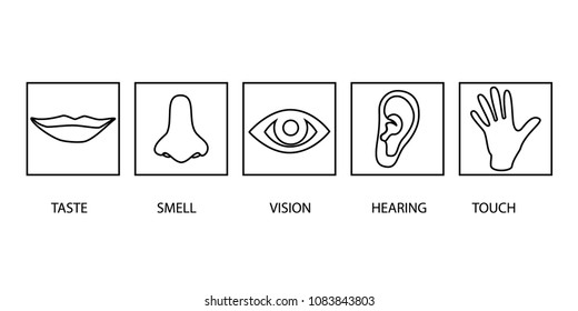 Icon set of five human senses: vision (eye), smell (nose), hearing (ear), touch (hand), taste (mouth ). Simple line icons