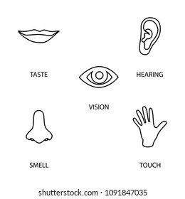 Icon set of five human senses: vision (eye), smell (nose), hearing (ear), touch (hand), taste (mouth ). Simple line icons