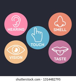 Icon set of five human senses. 5 senses symbols