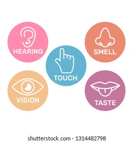 Icon set of five human senses. 5 senses symbols