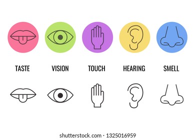 Icon set of five human senses. Simple line icons. Vector illustration.