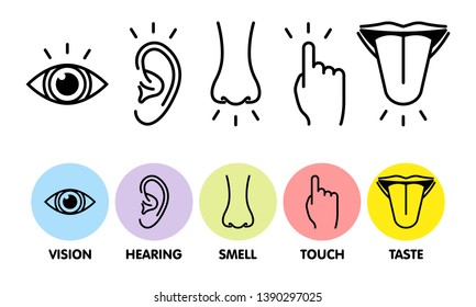 Icon Set Of Five Human Senses. Vision  Eye, Smell Nose, Hearing Ear, Touch Hand, Taste Mouth With Tongue . Simple Line Icons And Color Circles, Vector Illustration.