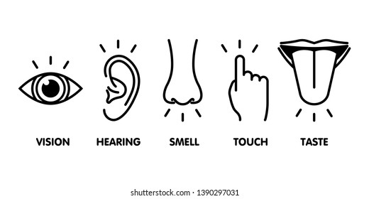 Icon set of five human senses. Vision  eye, smell nose, hearing ear, touch hand, taste mouth with tongue . Simple line icons vector illustration.