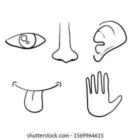 Five Senses Outline Icon Set Taste Stock Vector (Royalty Free) 1027484026