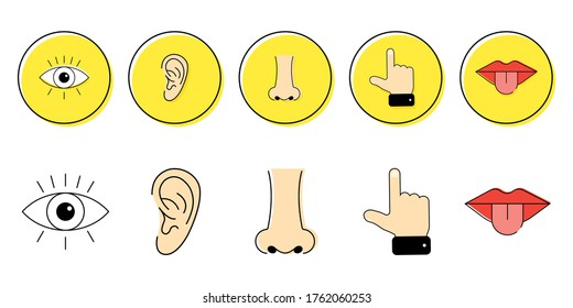 Icon Set Five Human Senses Vision Stock Vector (Royalty Free ...