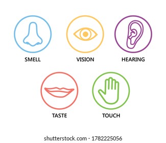 Icon set of five human senses: vision (eye), smell (nose), hearing (ear), touch (hand), taste (mouth ). Simple line icons vector illustration.